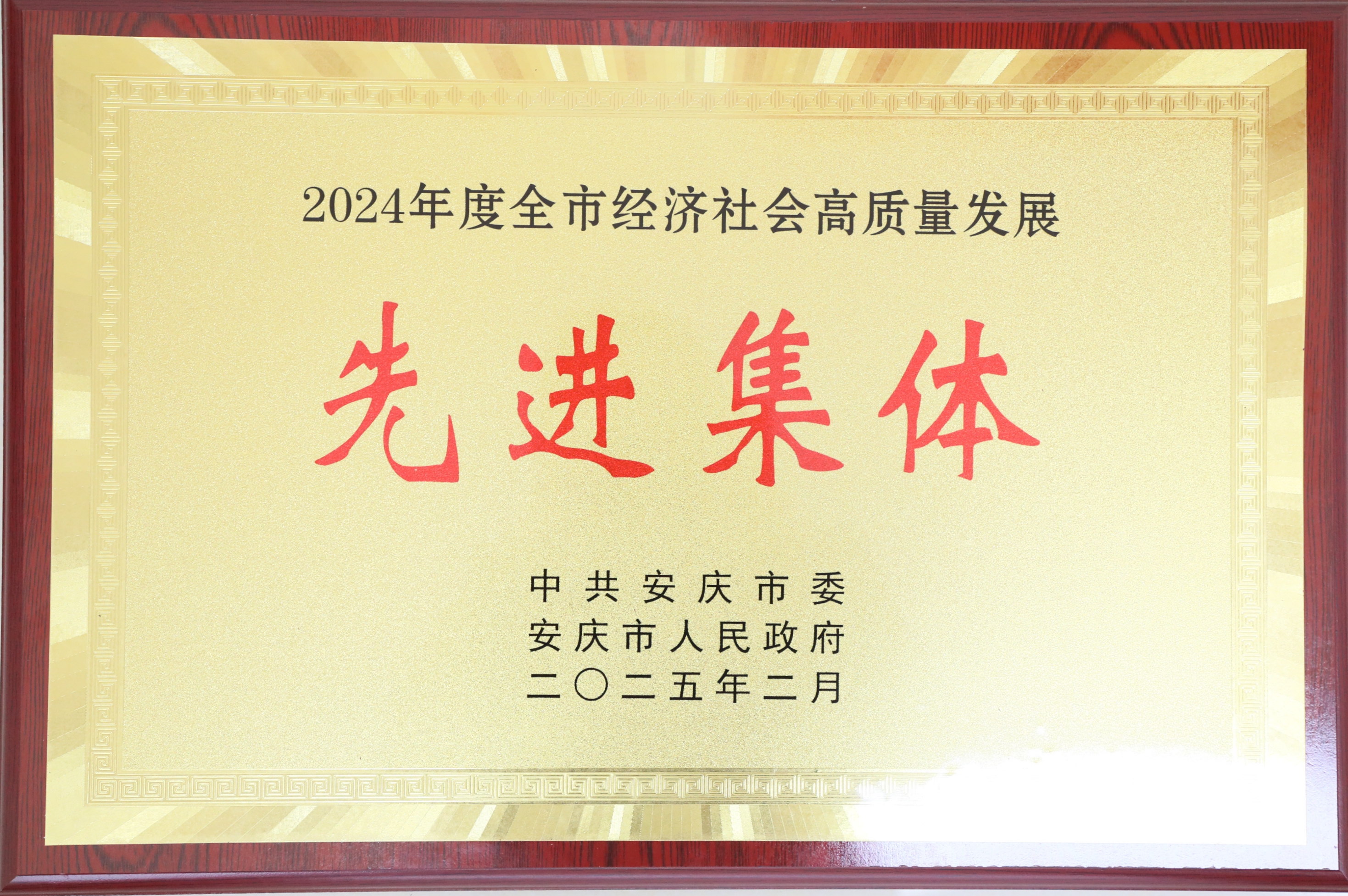 娄底市经济社会高质量发展先进集体.jpg