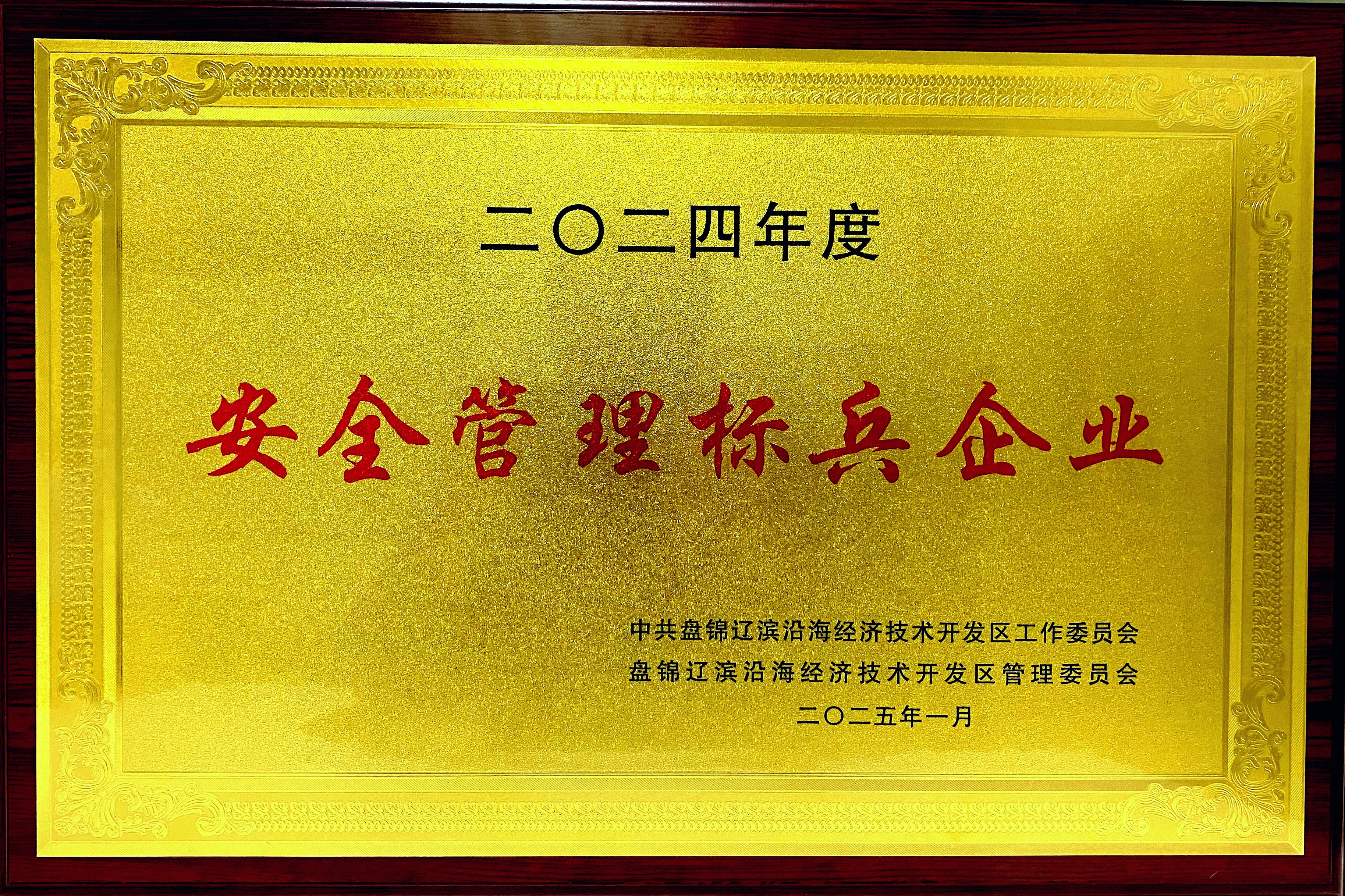 “安全治理标兵企业”奖牌.jpg “安全治理标兵企业”奖牌.jpg