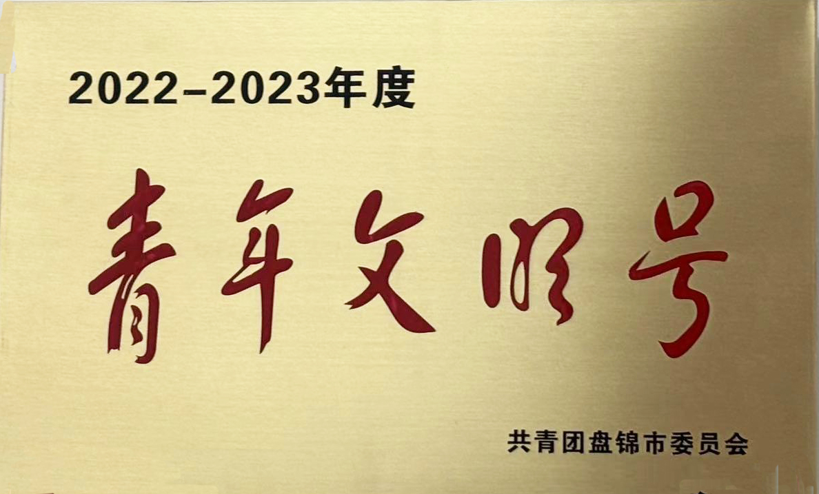 获得盘锦视装青年文化号”荣誉.jpg